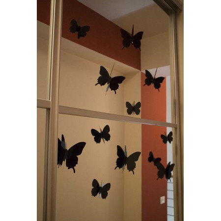 3D Fekete pillangó csomag