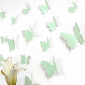 3D Pisztácia pillangó csomag