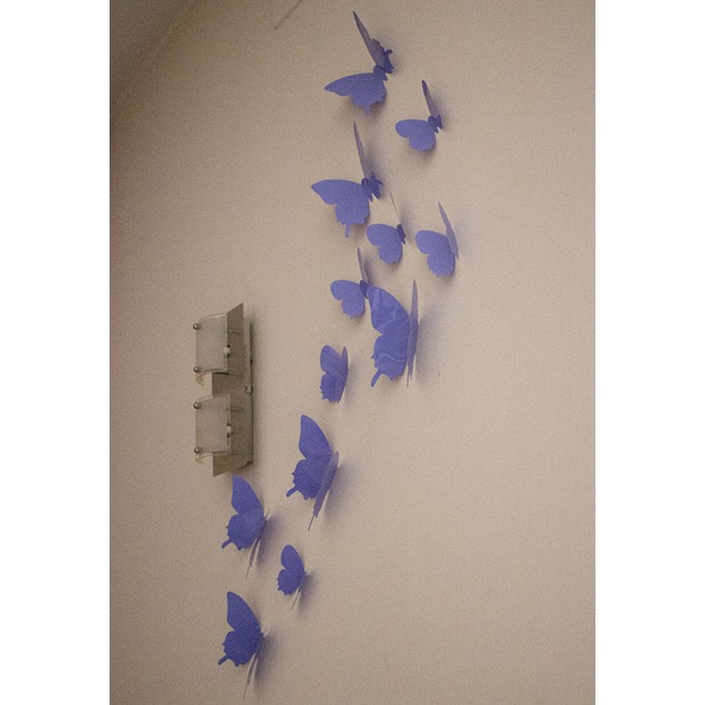 3D Ibolya pillangó csomag