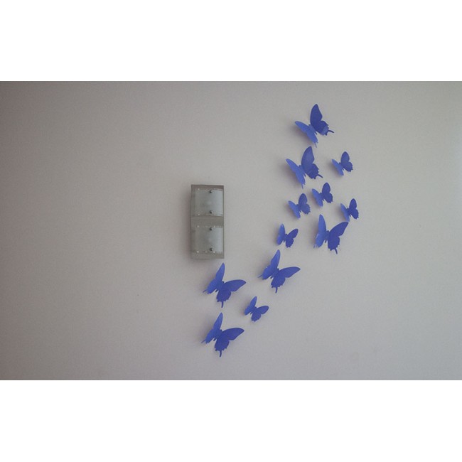 3D Ibolya pillangó csomag