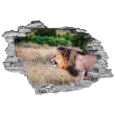 Oroszlán - 3D hatású matrica