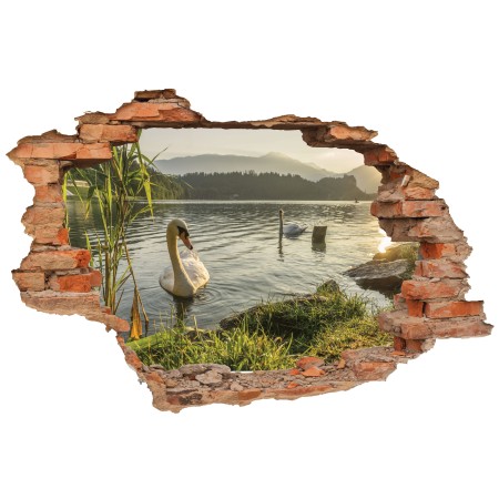 Hattyúk - 3D hatású matrica