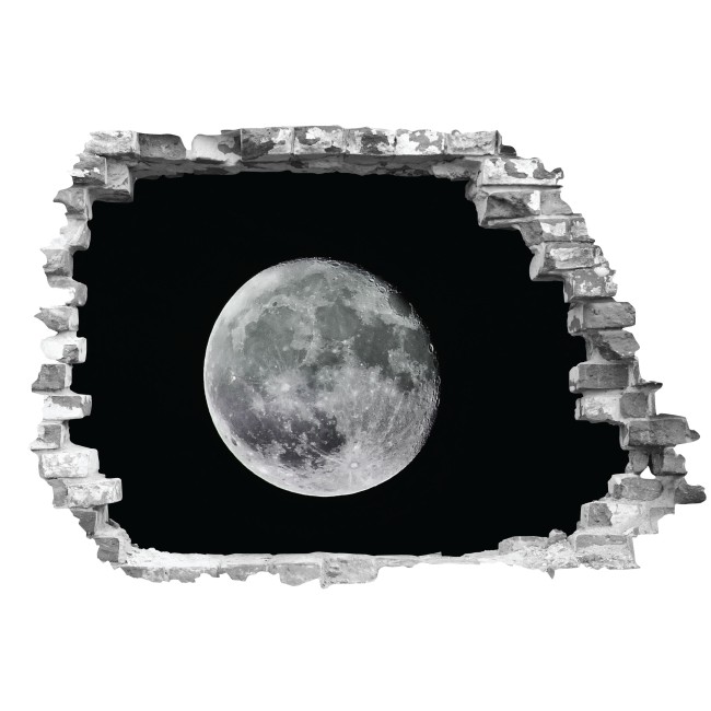 Hold - 3D hatású matrica