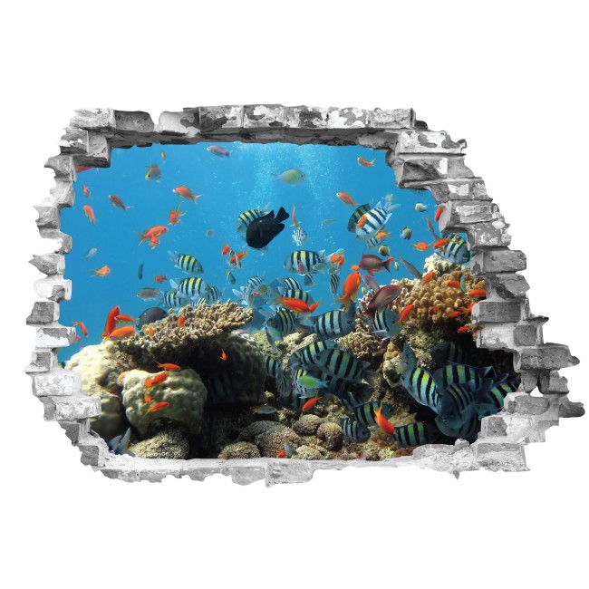 Halak - 3D hatású matrica