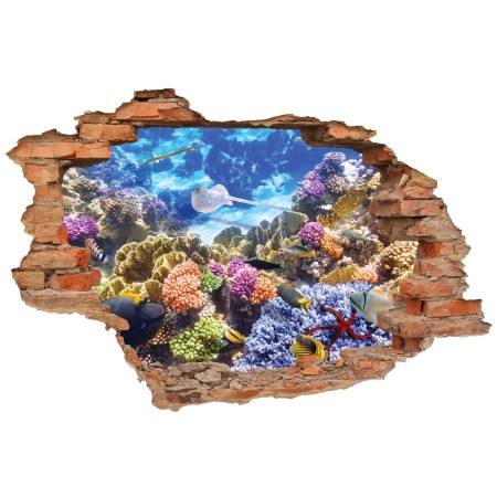 Víz alatti élet - 3D hatású matrica