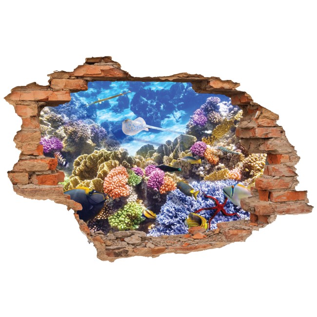 Víz alatti élet - 3D hatású matrica