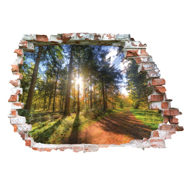 Napos erdő - 3D hatású matrica