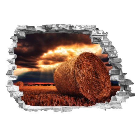 Bála - 3D hatású matrica