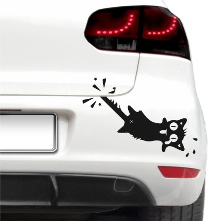 Autós matrica -  Potyautas cica