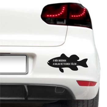 Autós matrica - Horogra akadva