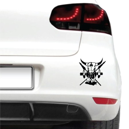 Autós matrica - Indián minta