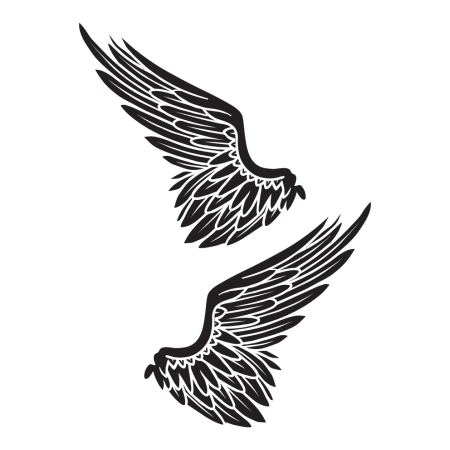 Autós matrica - Szárny