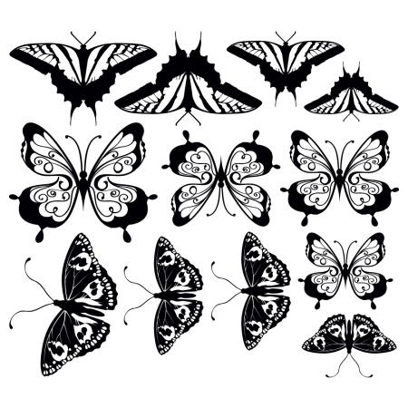 Autós matrica - Pillangók (csomag)