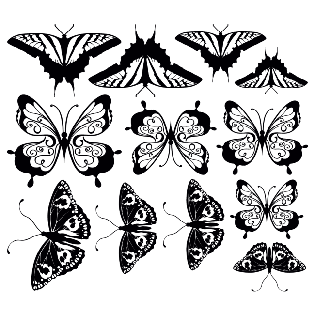 Autós matrica - Pillangók (csomag)