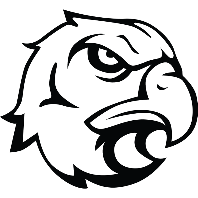 Autós matrica - Sasfej