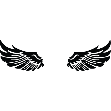 Autós matrica - Szárnyalj