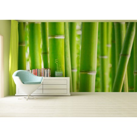 Fotótapéta - Bambusz közelről