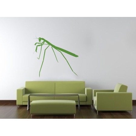 Imádkozó sáska - Falmatrica / Faltetoválás