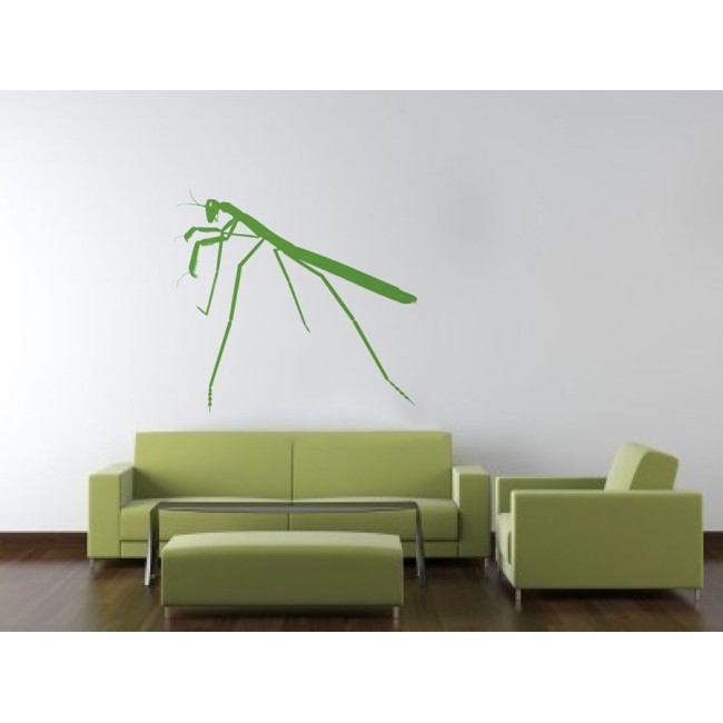 Imádkozó sáska - Falmatrica / Faltetoválás