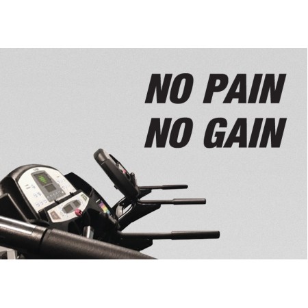 No Pain, No Gain - Falmatrica / Faltetoválás