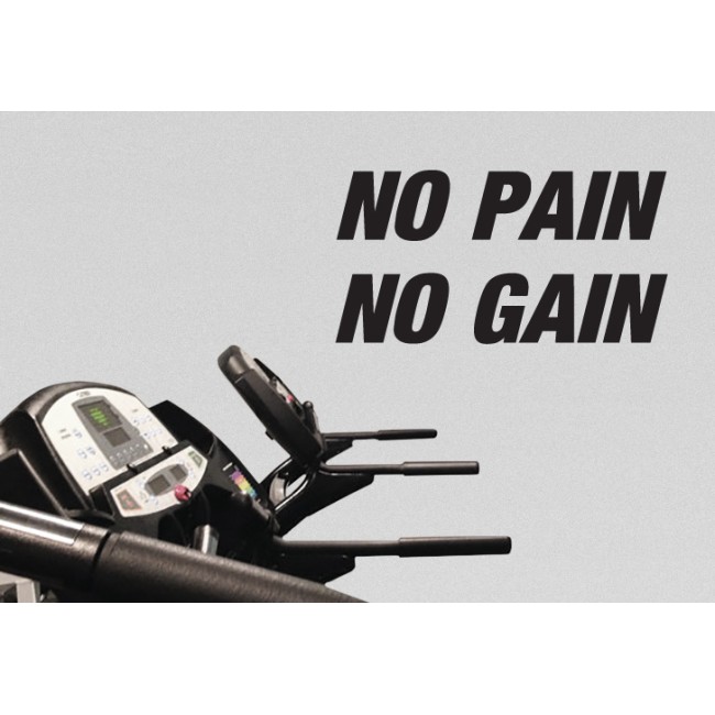 No Pain, No Gain - Falmatrica / Faltetoválás