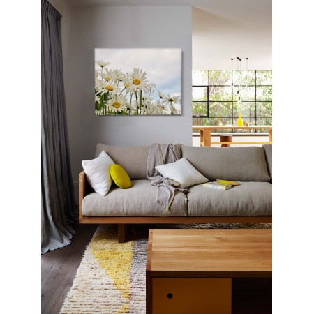 Az egyszerű virágok szépsége