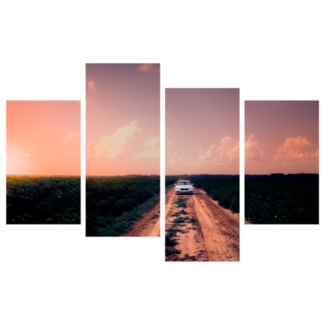 Többrészes vászonkép - Terepszemle