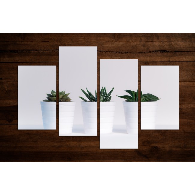 Többrészes vászonkép - Cserepes növények