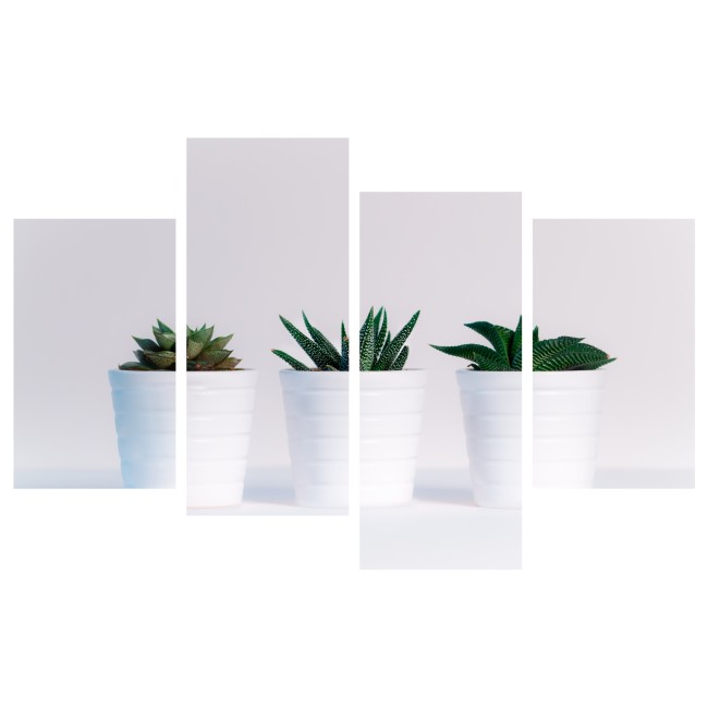 Többrészes vászonkép - Cserepes növények