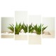 Többrészes vászonkép - Növények