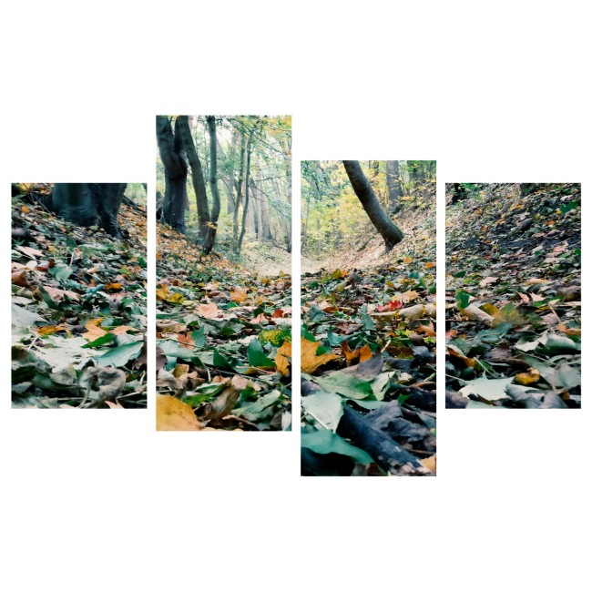 Többrészes vászonkép - Levél szőnyeg