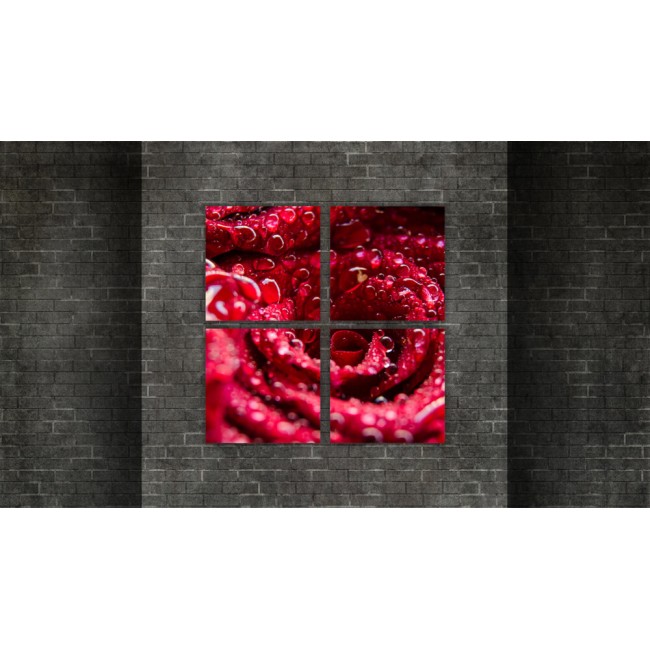 Többrészes vászonkép - Vizes rózsa