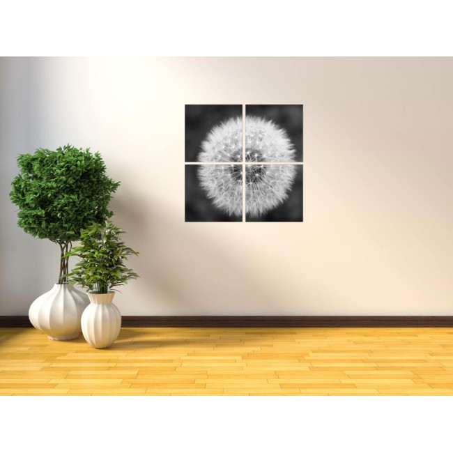 Többrészes vászonkép - Fekete/Fehér pitypang