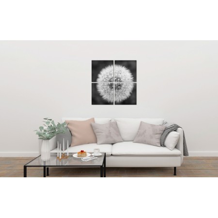 Többrészes vászonkép - Fekete/Fehér pitypang