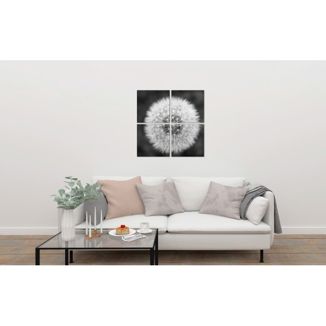 Többrészes vászonkép - Fekete/Fehér pitypang