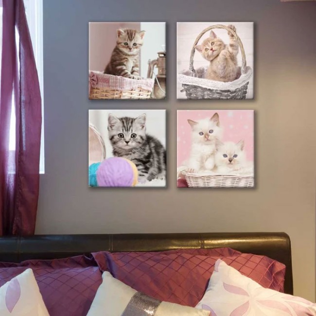 Többrészes vászonkép - Cicák