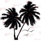 Pálmafák - Falmatrica / Faltetoválás
