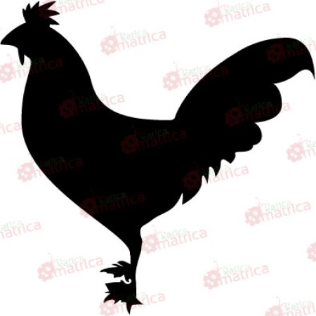 Tyúk - Falmatrica / Faltetoválás