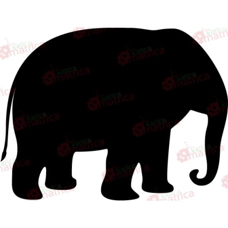 Elefánt - Falmatrica / Faltetoválás