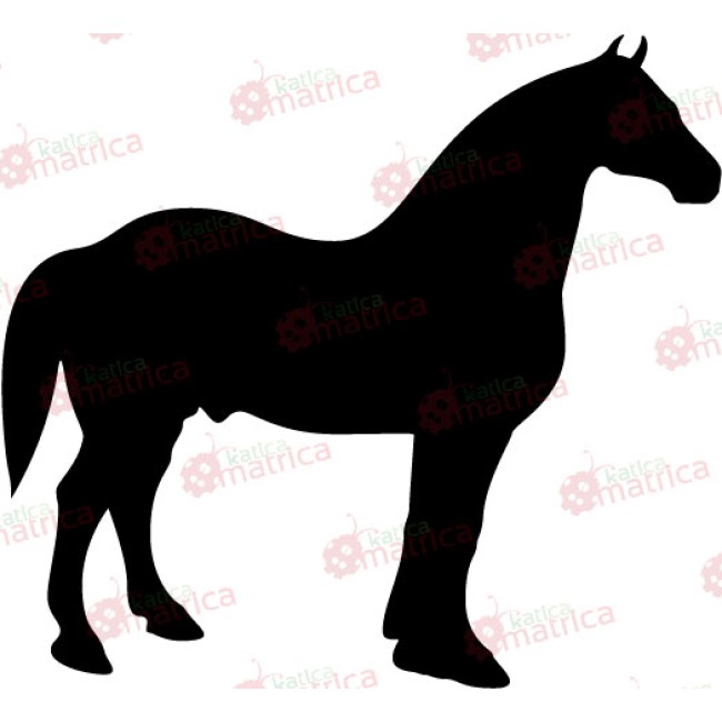 Ló - Falmatrica / Faltetoválás