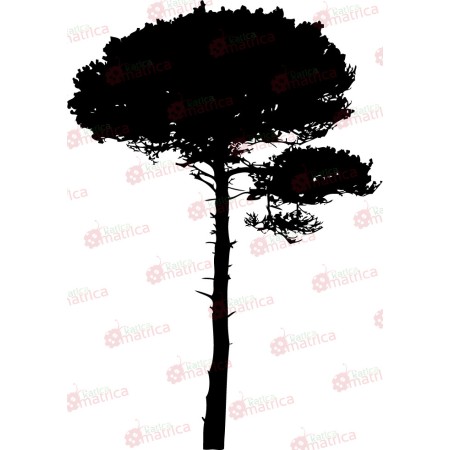 A nagy fa - Falmatrica / Faltetoválás