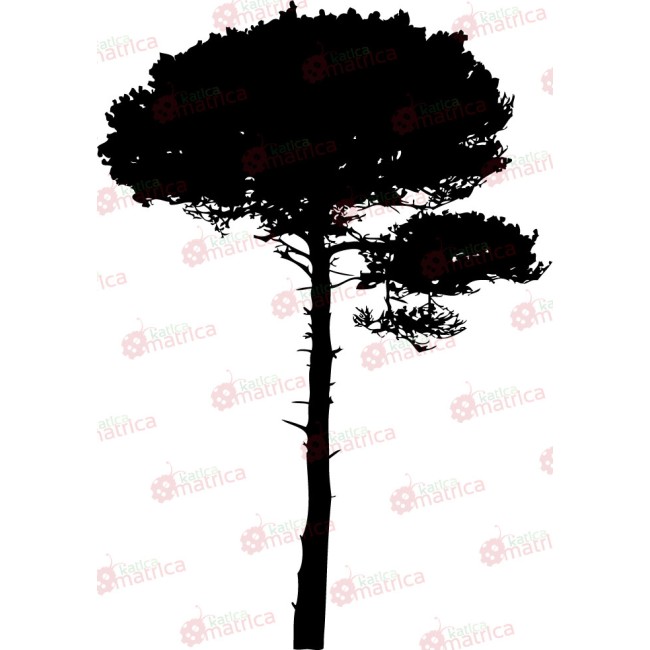 A nagy fa - Falmatrica / Faltetoválás