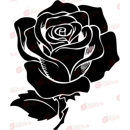 Rózsa - Falmatrica / Faltetoválás