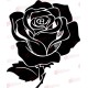 Rózsa - Falmatrica / Faltetoválás