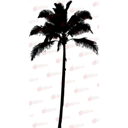 Pálmafa - Falmatrica / Faltetoválás