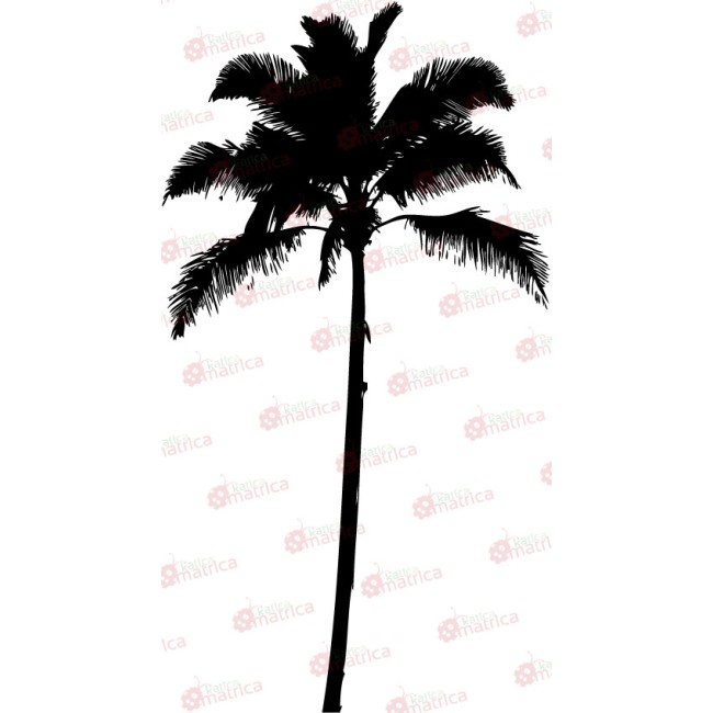 Pálmafa - Falmatrica / Faltetoválás