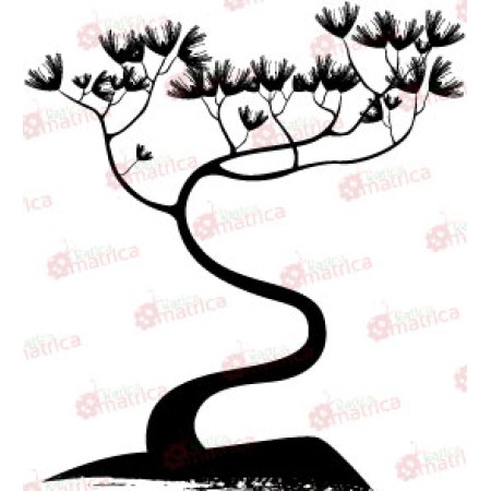 Bonsai Fa - Falmatrica / Faltetoválás