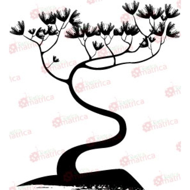 Bonsai Fa - Falmatrica / Faltetoválás