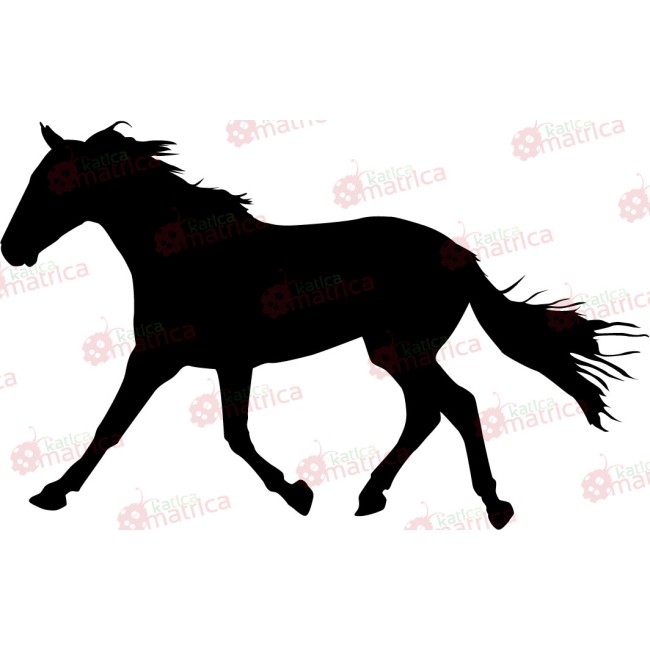 Táltos paripa - Falmatrica / Faltetoválás