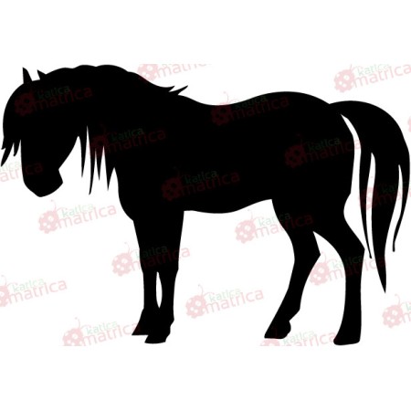 Póni - Falmatrica / Faltetoválás